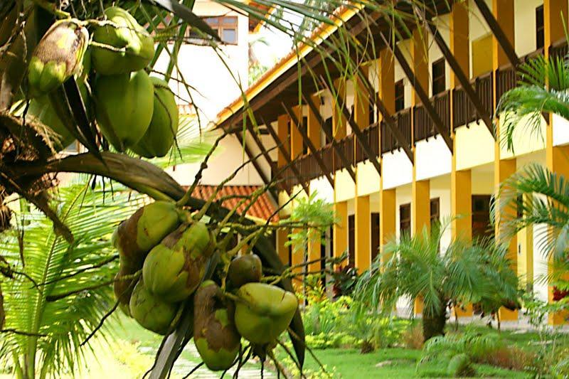 Girassol Praia Hotel Guaibim Extérieur photo